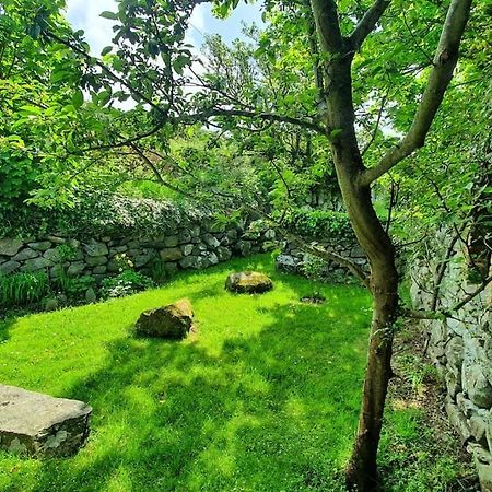 דירות ברמאות' The Hayloft Llwyndu מראה חיצוני תמונה