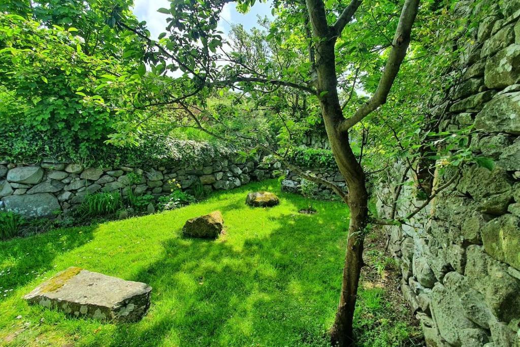דירות ברמאות' The Hayloft Llwyndu מראה חיצוני תמונה